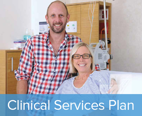 Clinical Services Plan